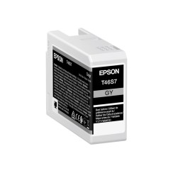 Epson T46S7 Gris Cartucho de Tinta Original - C13T46S700