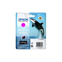 Epson T7603 Magenta Cartucho de Tinta Original - C13T76034010